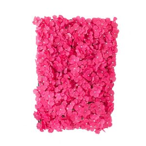 Mur De Fleurs Rose Et Rouge