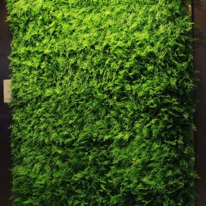 Mur de Fleurs Carolyn